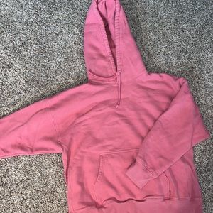 Aritzia TNA Oversized Hoodie